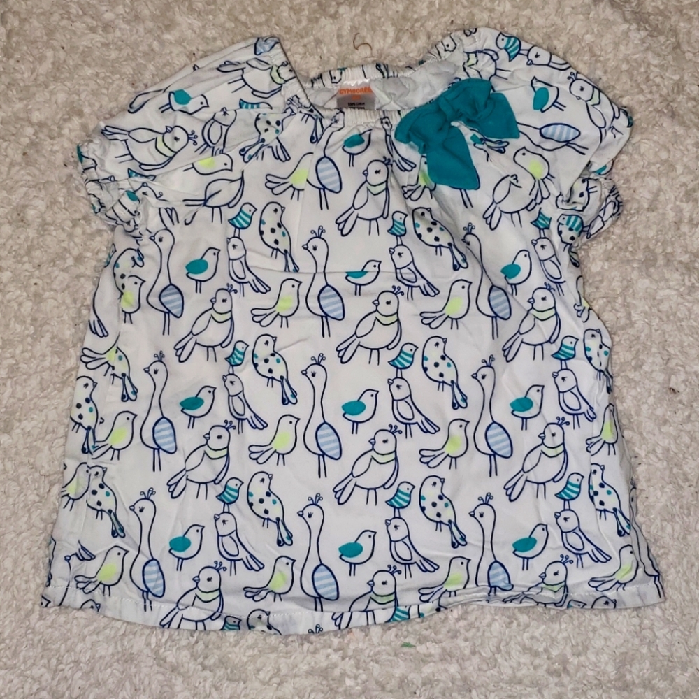 Girls 2T Gymboree shirt